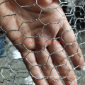 Galvanized Hexagonal Wire Mesh Chicken Wire Mesh